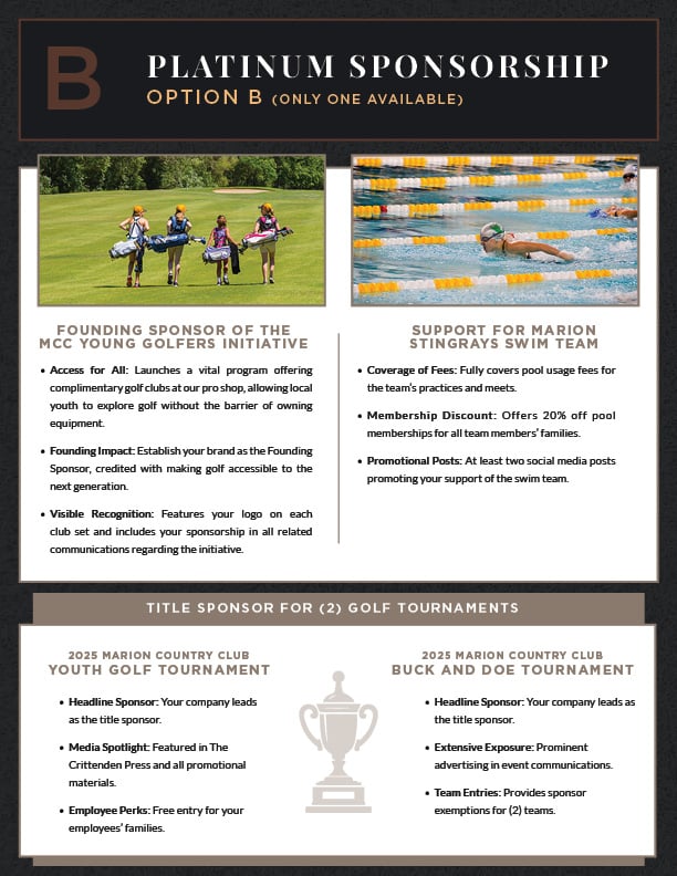 Corporate sponsorship page 12