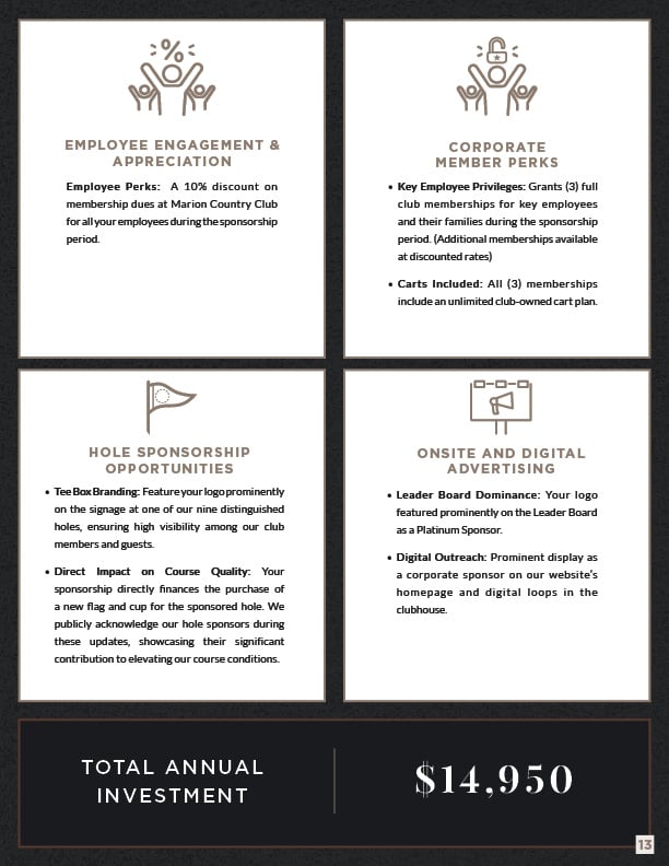 Corporate sponsorship page 13